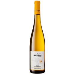 Alsace L'Auxerrois "Vieilles Vignes" 2023