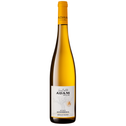 Alsace L'Auxerrois "Vieilles Vignes" 2024