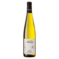 Alsace Muscat "Pur-Granite" 2023