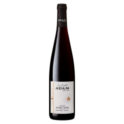 Alsace Pinot Noir PUR-GRANITE 2022