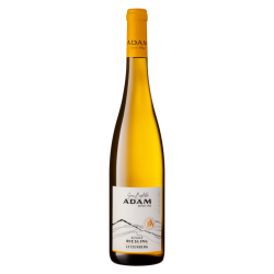 Alsace Le Riesling Letzenberg 2020