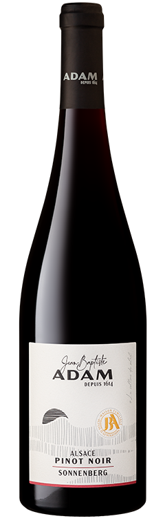 Alsace pinot noir best sale