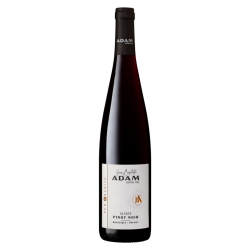 Pinot-Noir Pur-Granite millésime 2023